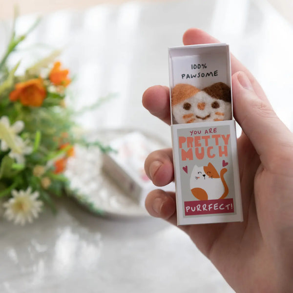 You're Purrfect Wool Felt Cat in A Matchbox - Where The Sidewalk Ends Toy Shop