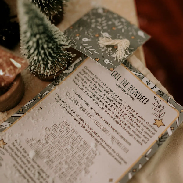 Xmas Eve Potion Pouch - Call the Reindeer This Christmas - Where The Sidewalk Ends Toy Shop