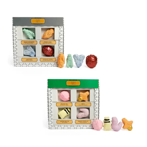 Assorted Insectariums Handmade Sidewalk Chalk - Where The Sidewalk Ends Toy Shop