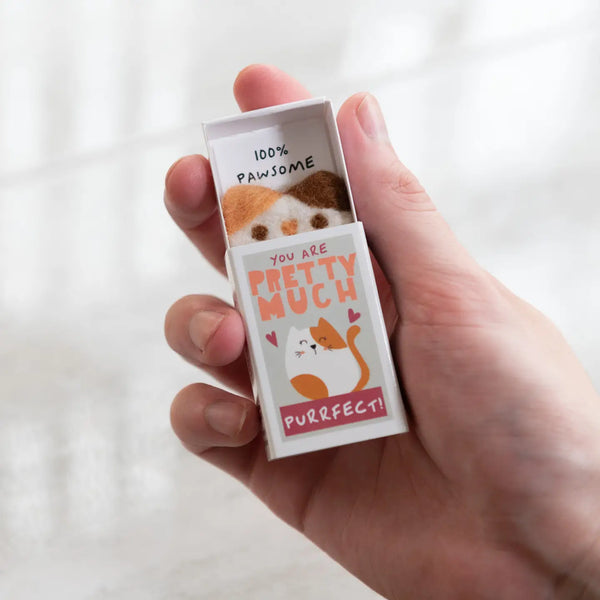 You're Purrfect Wool Felt Cat in A Matchbox - Where The Sidewalk Ends Toy Shop