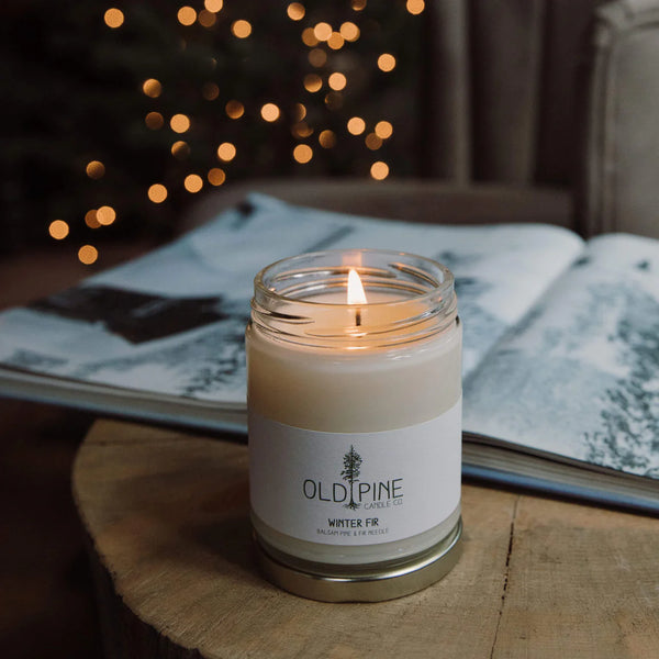 Winter Fir Candle - Where The Sidewalk Ends Toy Shop