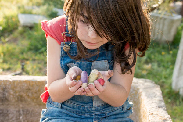 Grapat Insects - Where The Sidewalk Ends Toy Shop