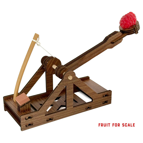 Mini Catapult : Wooden Engineering Model Building Kit - Where The Sidewalk Ends Toy Shop