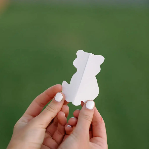 Colorado Bear Sticker - Where The Sidewalk Ends Toy Shop