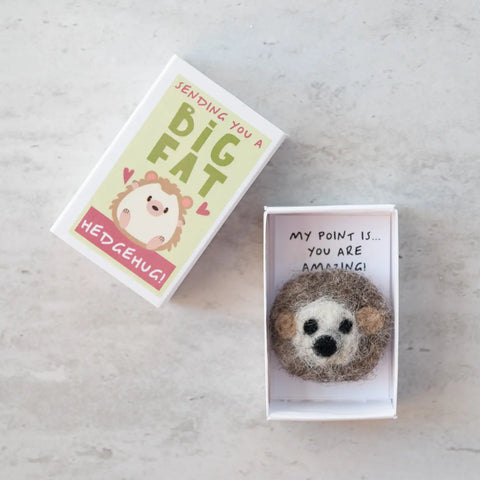 Sending You A Hedgehug in A Matchbox - Where The Sidewalk Ends Toy Shop