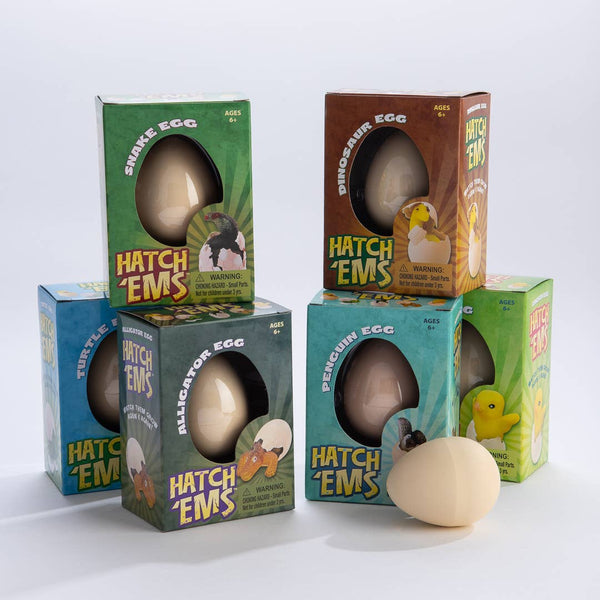 Turtles (Mini Hatch'ems) | Watch them Grow! - Where The Sidewalk Ends Toy Shop
