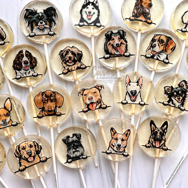 Dog Lollipop Collection, Caramel Flavor - Where The Sidewalk Ends Toy Shop