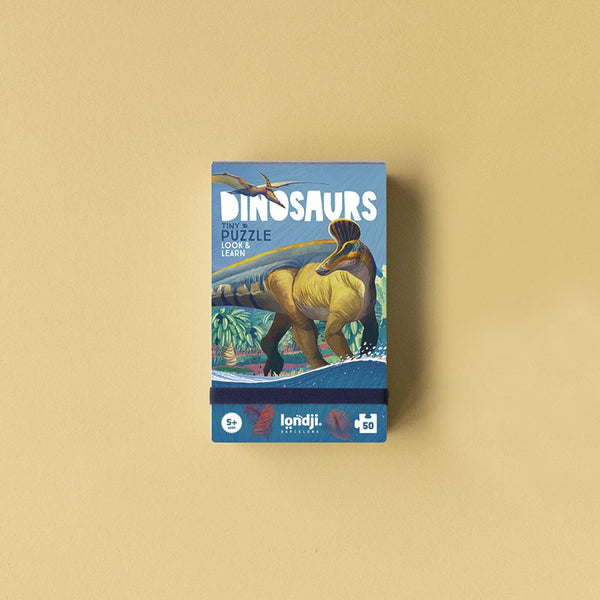 Tiny Puzzle-Dinosaurs