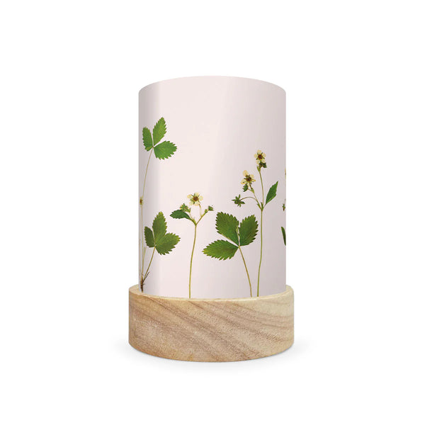 Beth Kendall - Pressed Garden Blooms shade set - Where The Sidewalk Ends Toy Shop