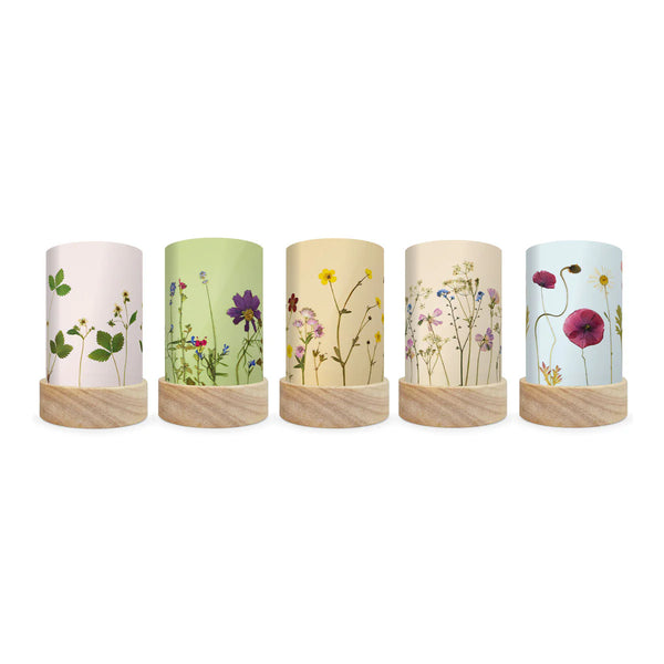 Beth Kendall - Pressed Garden Blooms shade set - Where The Sidewalk Ends Toy Shop
