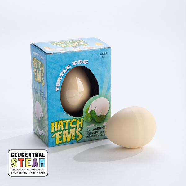 Turtles (Mini Hatch'ems) | Watch them Grow! - Where The Sidewalk Ends Toy Shop
