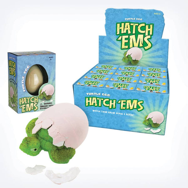 Turtles (Mini Hatch'ems) | Watch them Grow! - Where The Sidewalk Ends Toy Shop