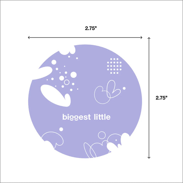B Is For Ball® - 3-Ball Set_ Montessori-Inspired “L" Box - Where The Sidewalk Ends Toy Shop