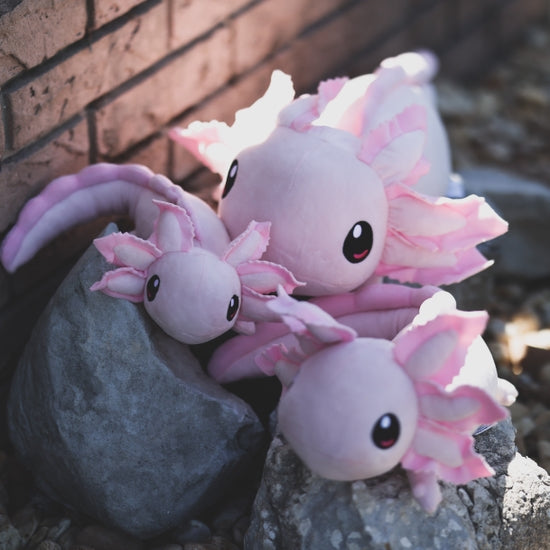 Realistic Axolotl Weighted Plush- 2lbs - Where The Sidewalk Ends Toy Shop