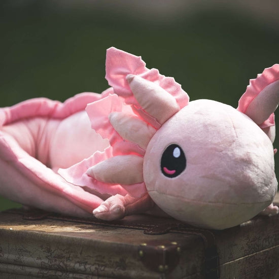 Axolotl Weighted Plush - Where The Sidewalk Ends Toy Shop
