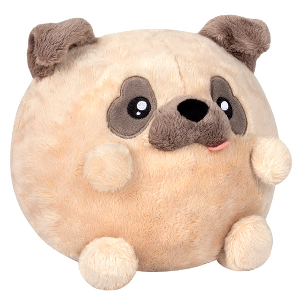 Undercover Pug in Witch - Where The Sidewalk Ends Toy Shop